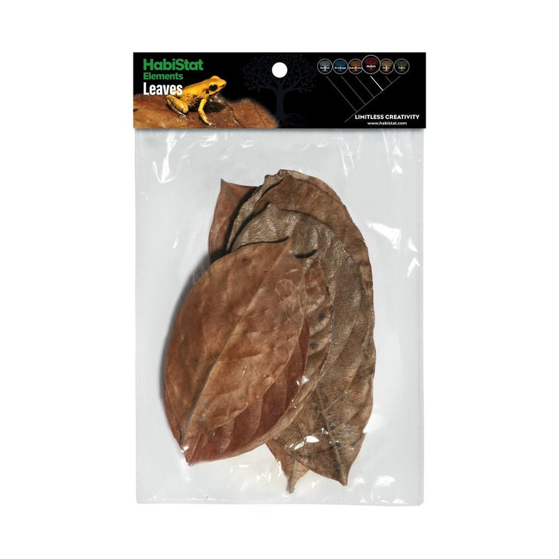 HabiStat Leaves, Jackfruit Leaves, 10 Pack - Reptiles By Post