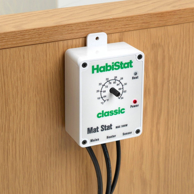 HabiStat Leopard Gecko Starter Kit - Reptiles By Post