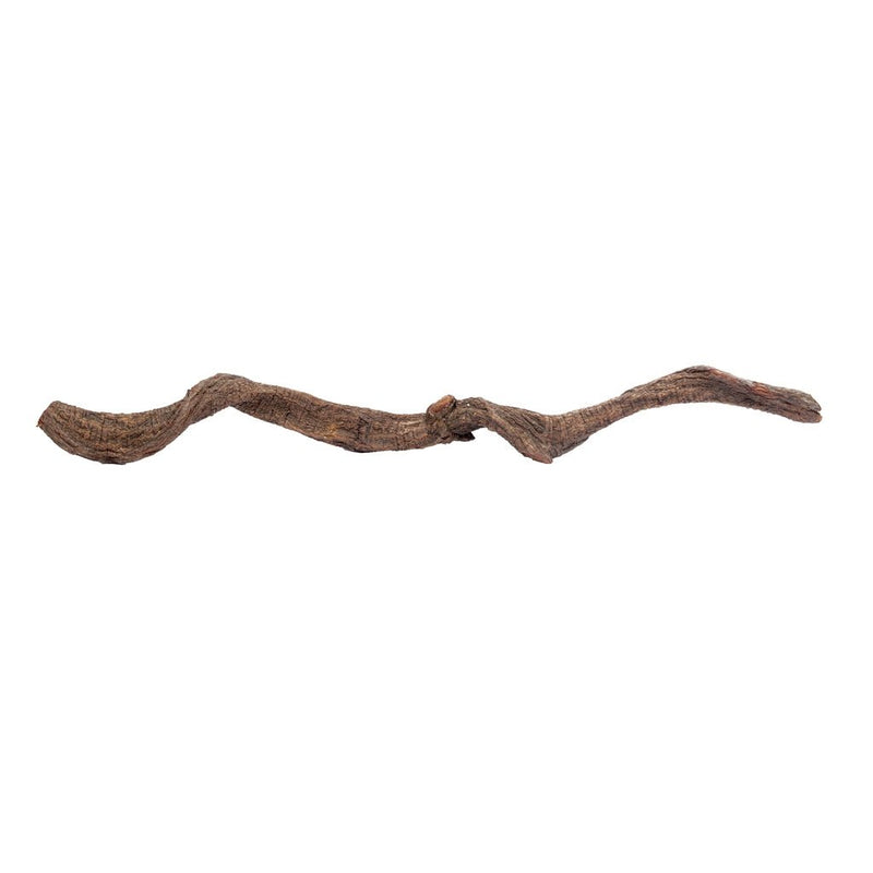 HabiStat Liana Vine - Reptiles By Post