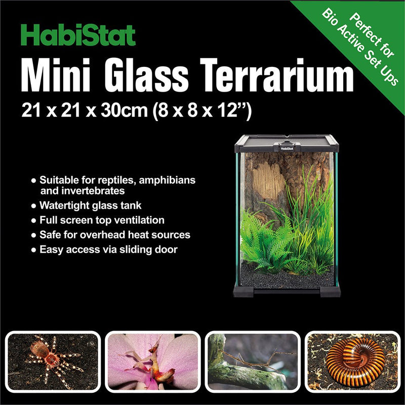 HabiStat Mini Glass Terrarium, 20 x 20 x 30cm (8 x 8 x 12"), Built - Reptiles By Post