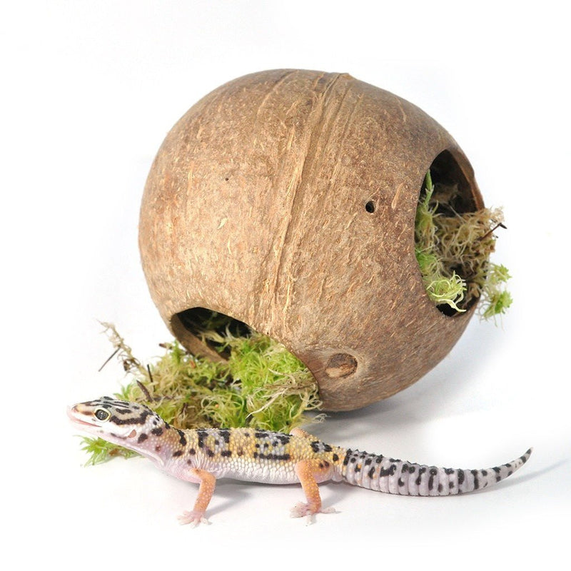 HabiStat Moss Hide - Reptiles By Post