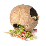 HabiStat Moss Hide - Reptiles By Post