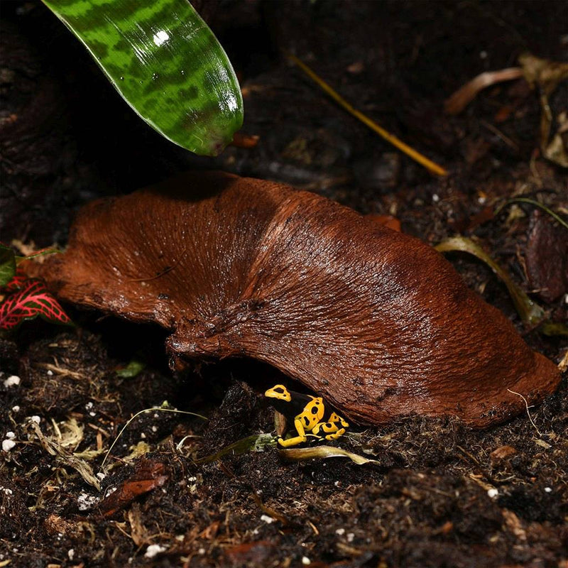 HabiStat Sculta Pod - Reptiles By Post