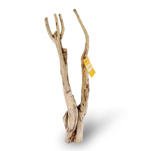 HabiStat Tea Tree Branch - Reptiles By Post