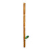 Lucky Reptile Bamboo Stick - Reptiles By Post