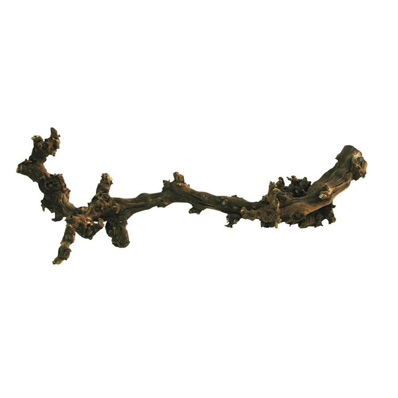 Lucky Reptile Dark Grapevine X - Large - Reptiles By Post