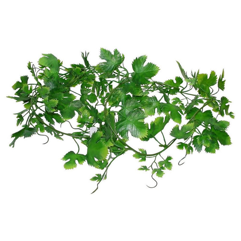 Lucky Reptile Grape Leaf Vine - Reptiles By Post