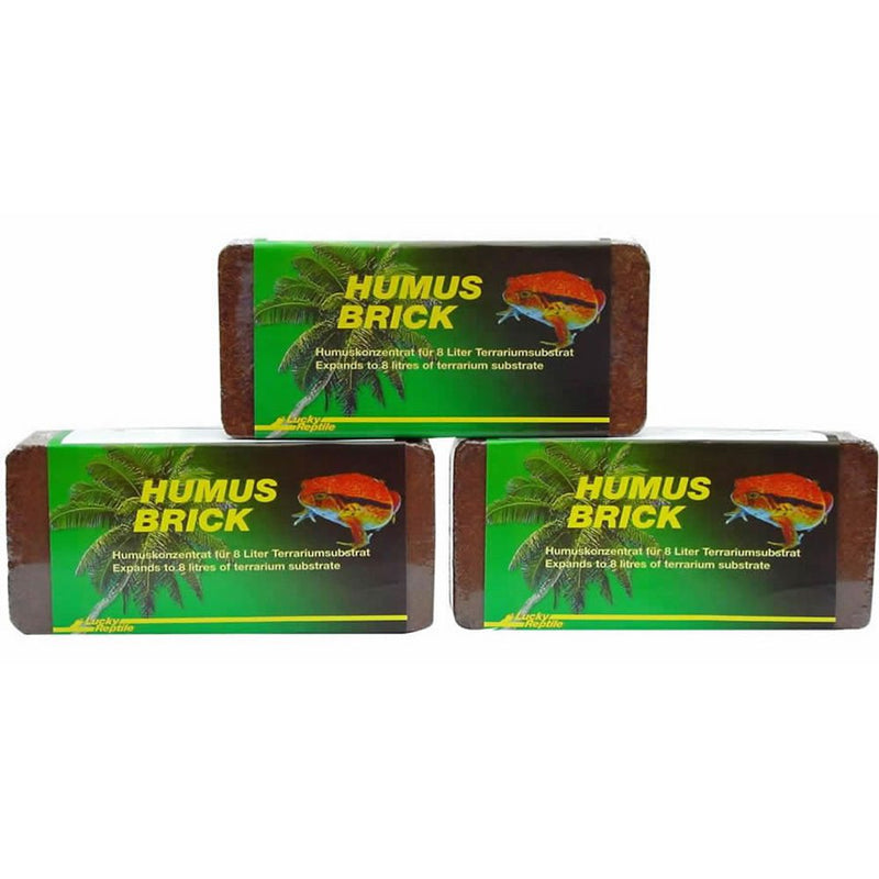 Lucky Reptile Humus Brick 1Kg - Reptiles By Post