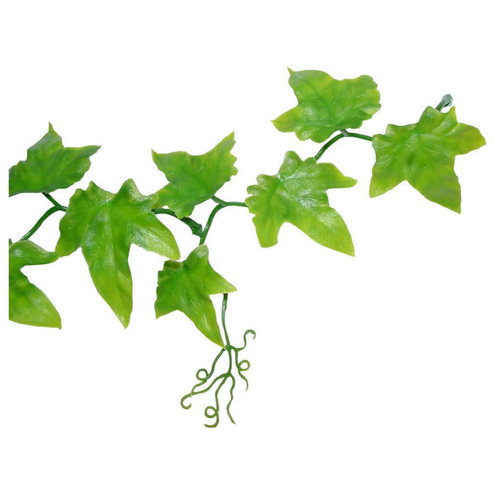 Lucky Reptile Ivy Vine - Reptiles By Post