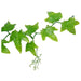 Lucky Reptile Ivy Vine - Reptiles By Post