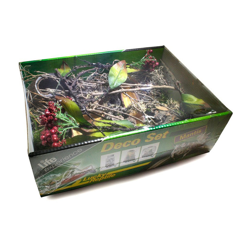 Lucky Reptile Life Experience Deco Set Mantis - Reptiles By Post