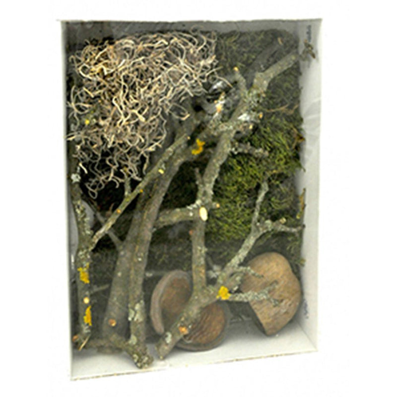 Lucky Reptile Life Experience Decor Jungle - Reptiles By Post