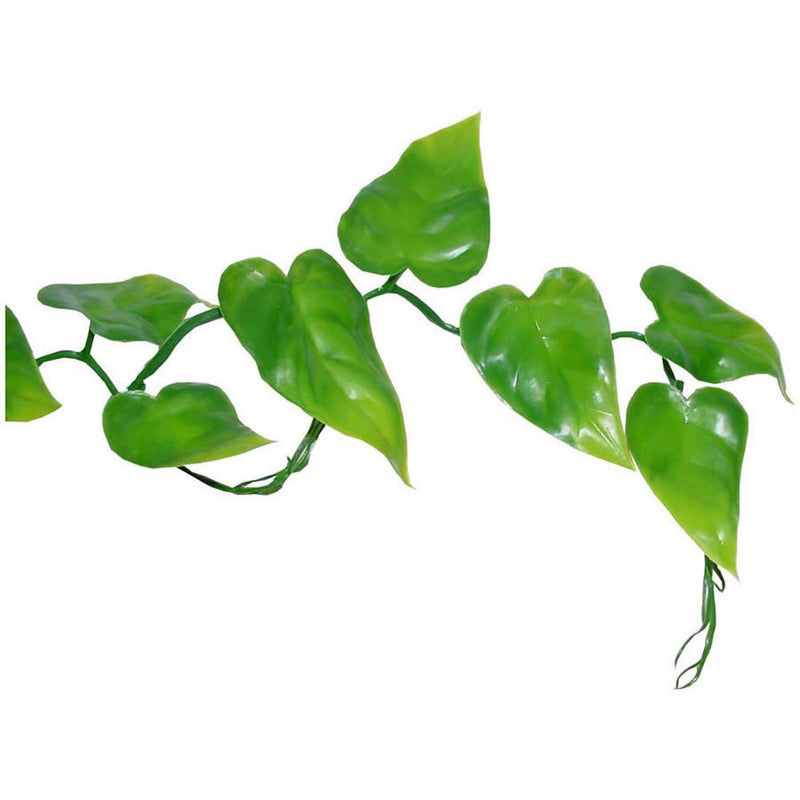 Lucky Reptile Philo Vine - Reptiles By Post