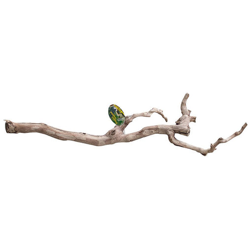 Lucky Reptile Premium Grapevine Large - Reptiles By Post