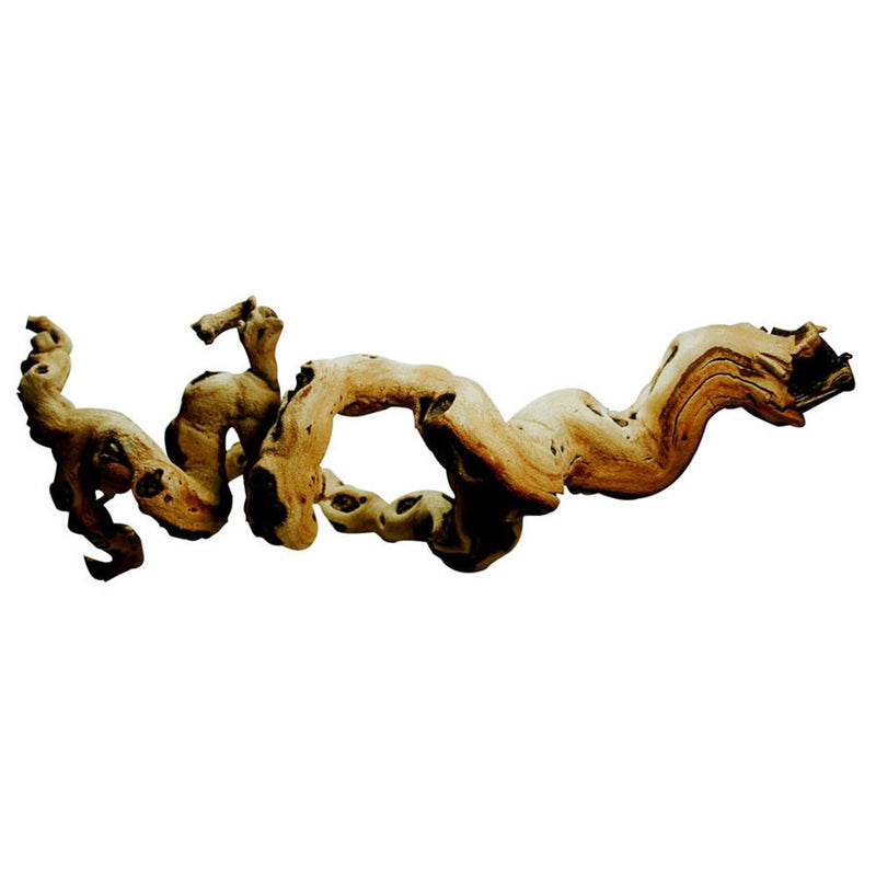 Lucky Reptile Premium Grapevine Medium - Reptiles By Post