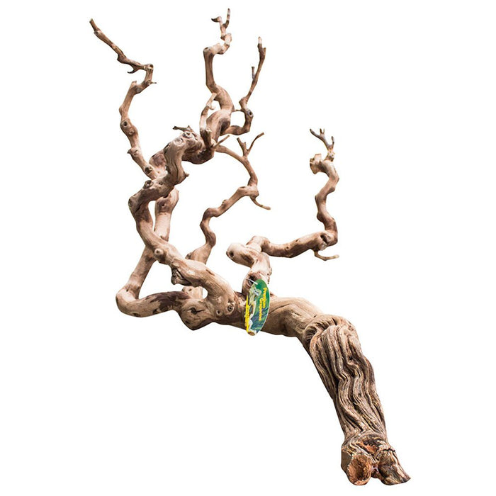 Lucky Reptile Premium Grapevine Show - Reptiles By Post