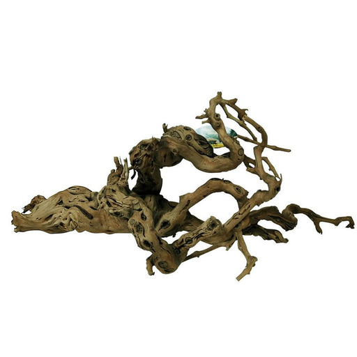 Lucky Reptile Premium Grapevine X - Large - Reptiles By Post