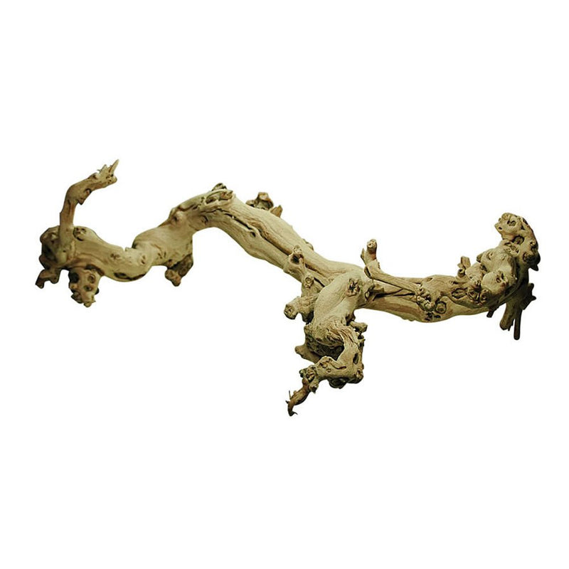 Lucky Reptile Sand - blasted Grapevine X - Large - Reptiles By Post