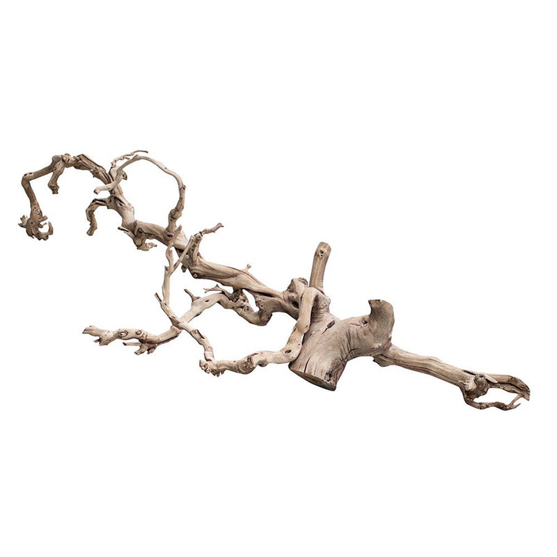 Lucky Reptile Sandblasted Grapevine Show - Reptiles By Post