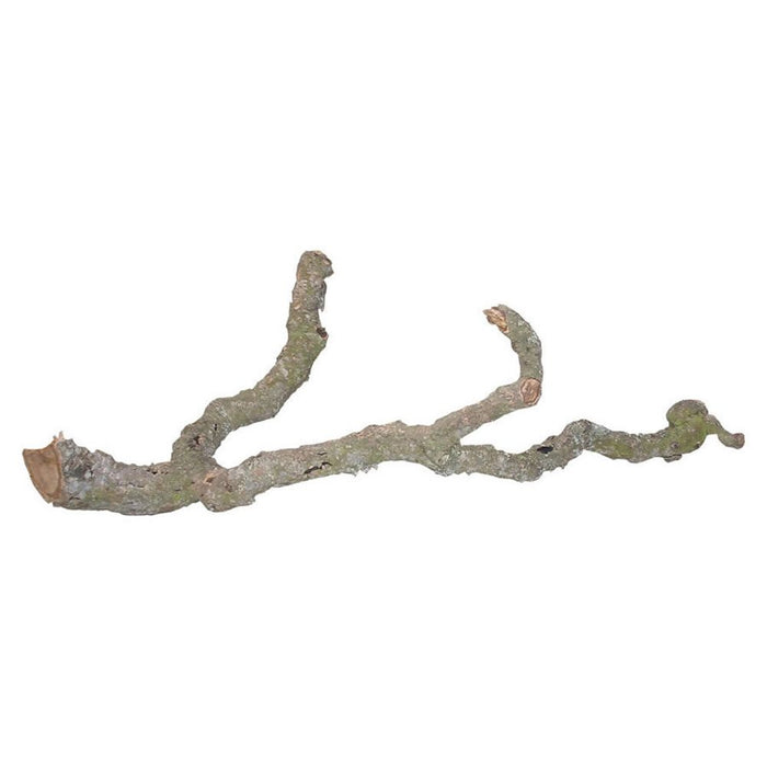 Lucky Reptile Tronchos Branches 90 - 120cm - Reptiles By Post