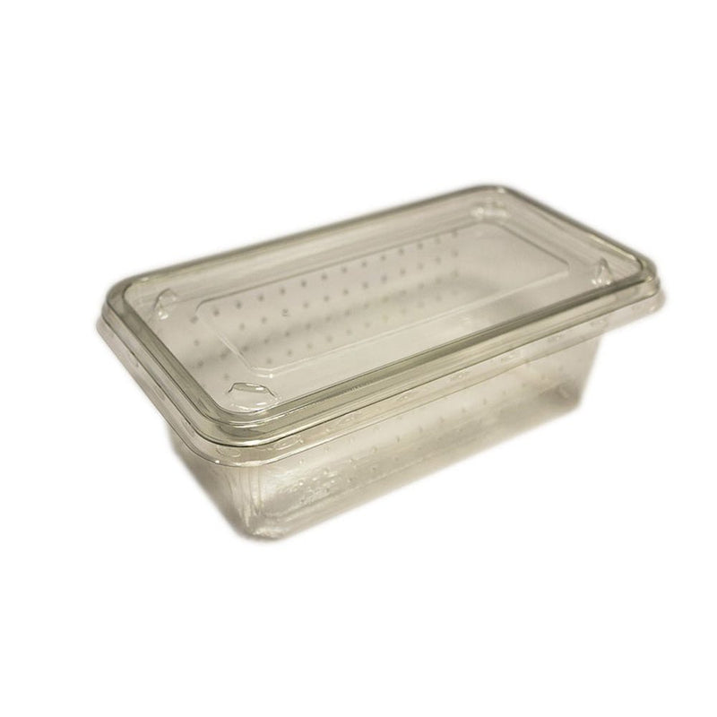 Peregrine Livefoods Cricket Tub/Lid - Vent Holes - pack 10 - Reptiles By Post