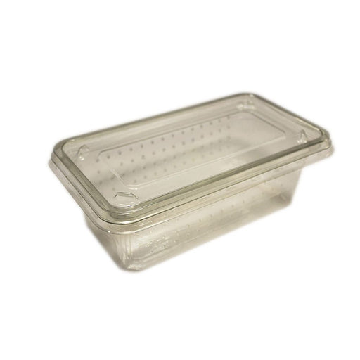 Peregrine Livefoods Cricket Tub/Lid - Vent Holes - pack 10 - Reptiles By Post