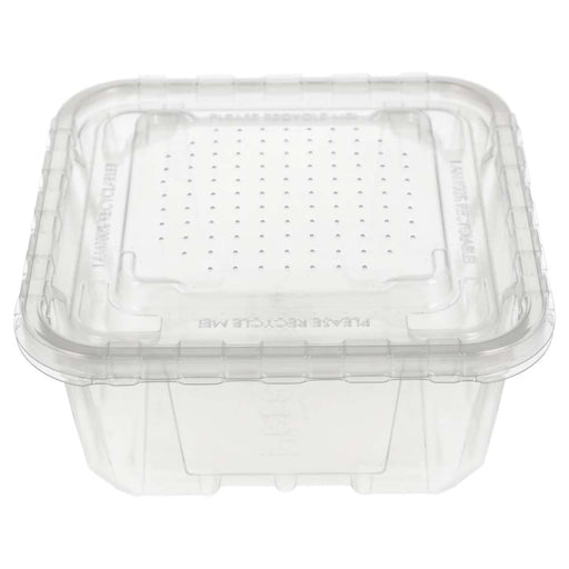 Peregrine Livefoods Live Animal Vented Tub 176x176mm (16 Pack) - Reptiles By Post