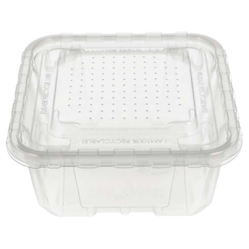 Peregrine Livefoods Live Animal Vented Tub 176x176mm (16 Pack) - Reptiles By Post