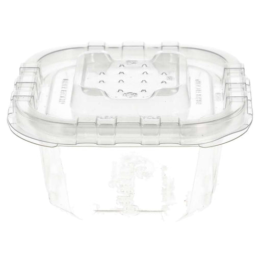 Peregrine Livefoods Live Animal Vented Tub 89x89mm (40 Pack) - Reptiles By Post