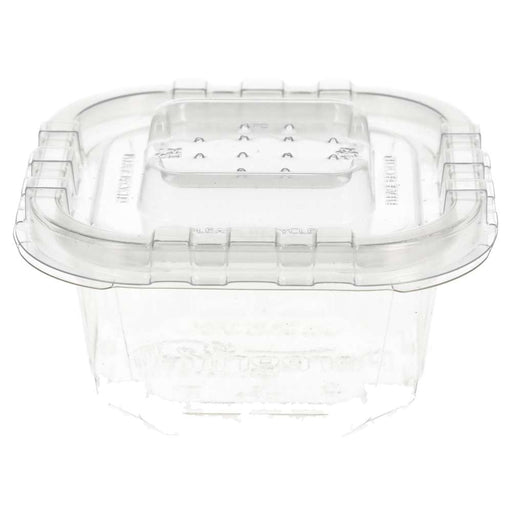 Peregrine Livefoods Live Animal Vented Tub 89x89mm (40 Pack) - Reptiles By Post