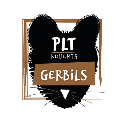 PLT Frozen Gerbils 20g+ 10 Pack - Reptiles By Post