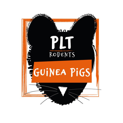 PLT Frozen Guinea Pig 100g+ - Reptiles By Post