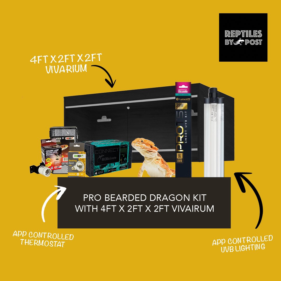 Pro Bearded Dragon Setup Kit — Reptiles By Post