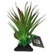 ProRep Agave Plant on Log 15cm - Reptiles By Post