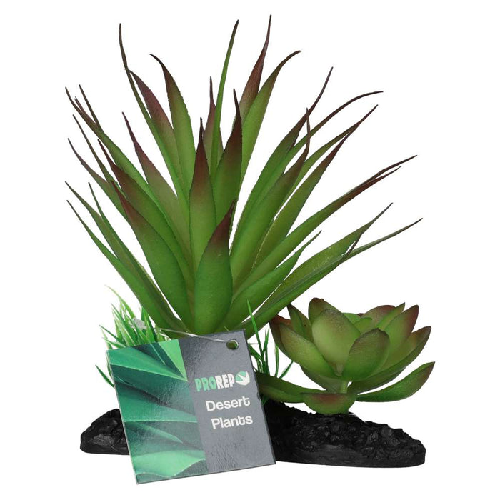 ProRep Agave Plant on Log 15cm - Reptiles By Post
