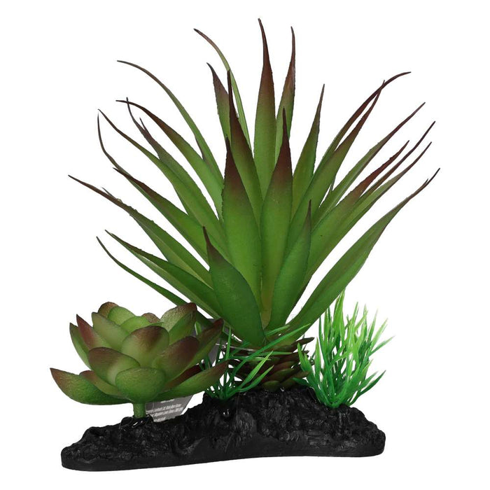 ProRep Agave Plant on Log 15cm - Reptiles By Post
