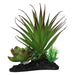 ProRep Agave Plant on Log 15cm - Reptiles By Post
