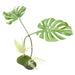 ProRep Artificial Philodendron Plant - Reptiles By Post