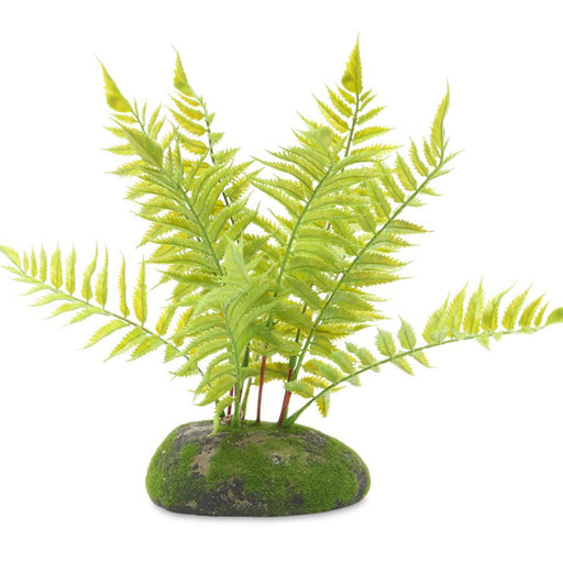 ProRep Artificial Tropical Fern Plant, 25cm - Reptiles By Post