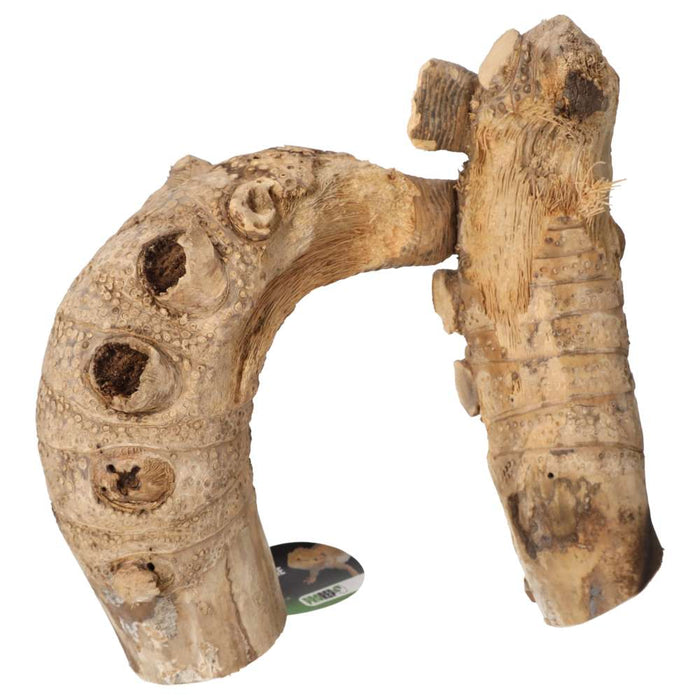 ProRep Bamboo Root Jungle Gym - Reptiles By Post