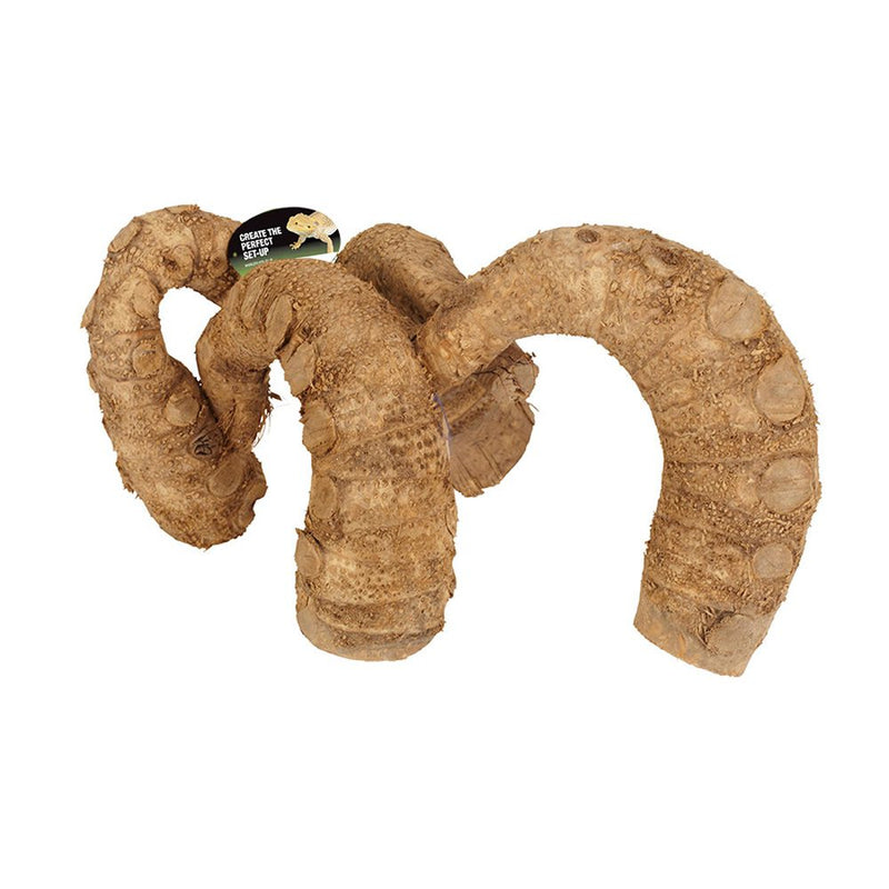 ProRep Bamboo Root Jungle Gym Premium - Reptiles By Post