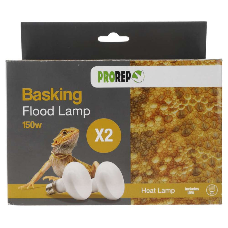 ProRep Basking Flood Lamp - Reptiles By Post