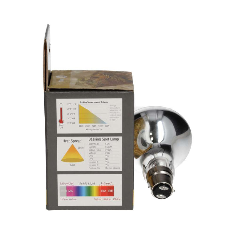 ProRep Basking Spot Lamp 100w BC - Reptiles By Post