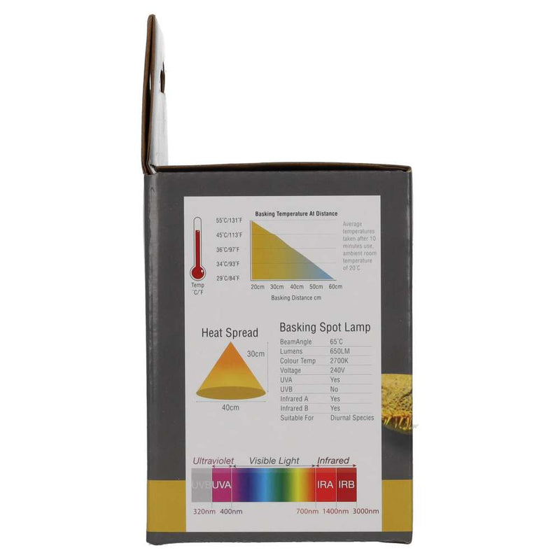 ProRep Basking Spot Lamp 100w BC - Reptiles By Post