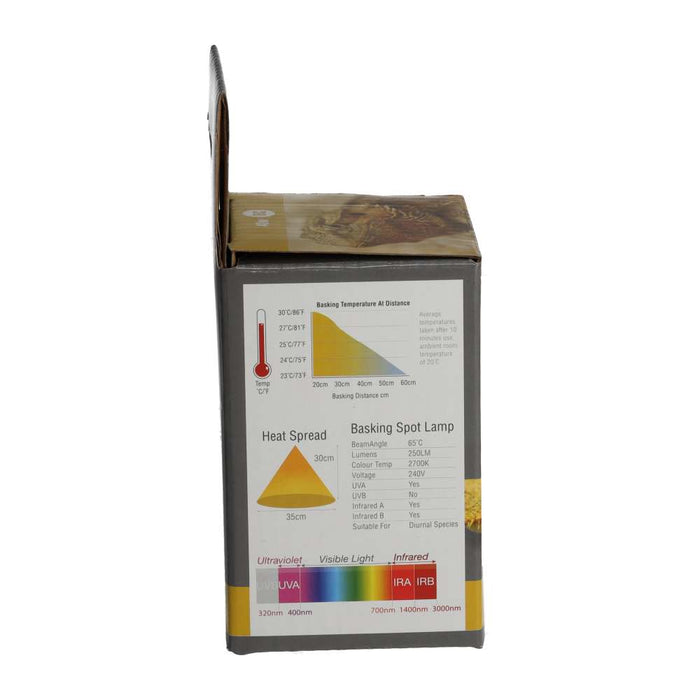 ProRep Basking Spot Lamp 40w BC - Reptiles By Post