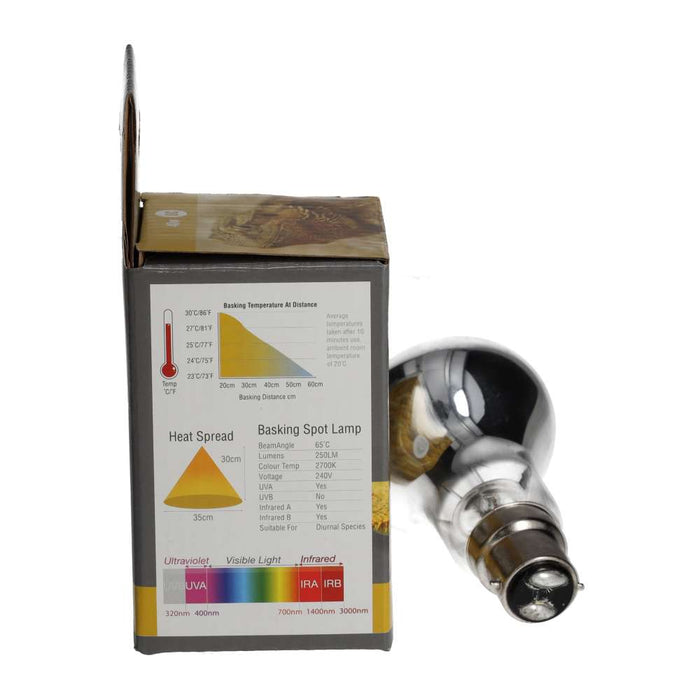 ProRep Basking Spot Lamp 40w BC - Reptiles By Post