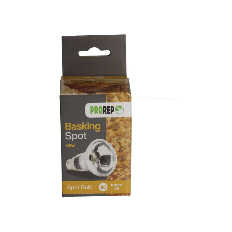 ProRep Basking Spot Lamp 60w BC - Reptiles By Post