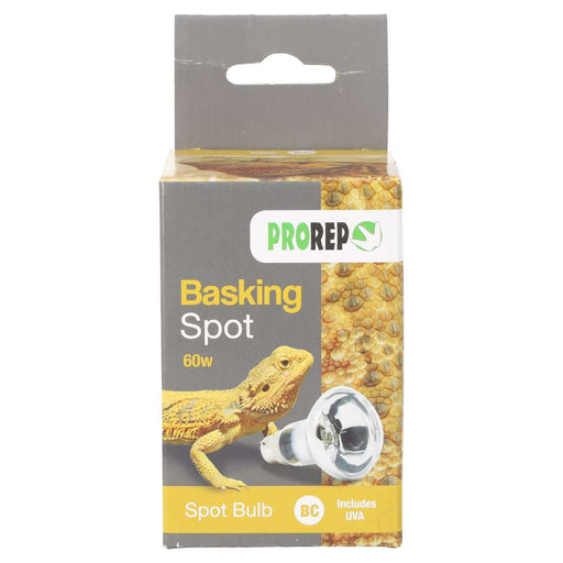 ProRep Basking Spot Lamp 60w BC - Reptiles By Post