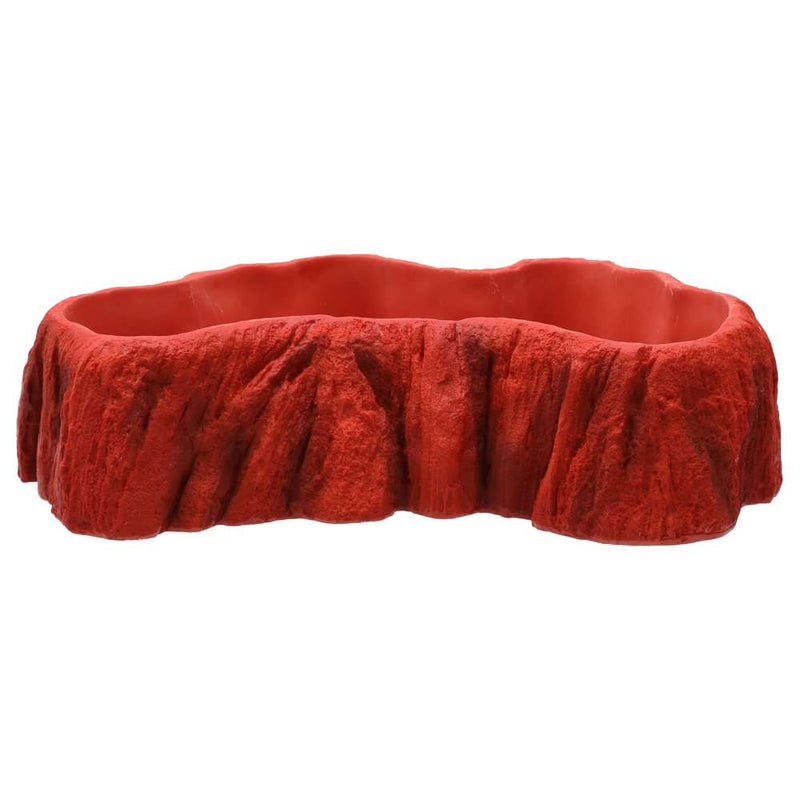 ProRep Beardie Billabong Pool - Reptiles By Post