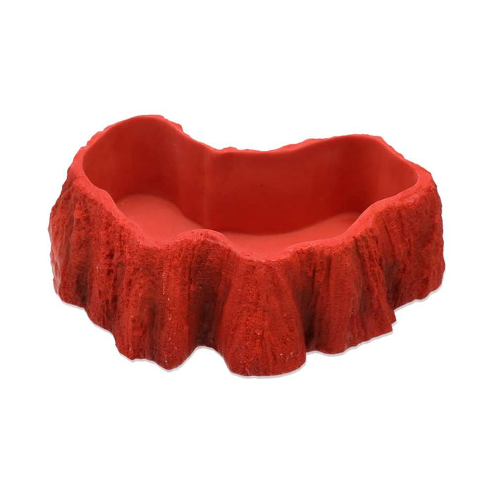 ProRep Beardie Billabong Pool - Reptiles By Post